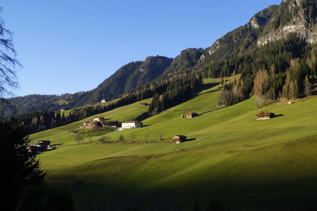 Hanslerfeld Alpbach Rum bild