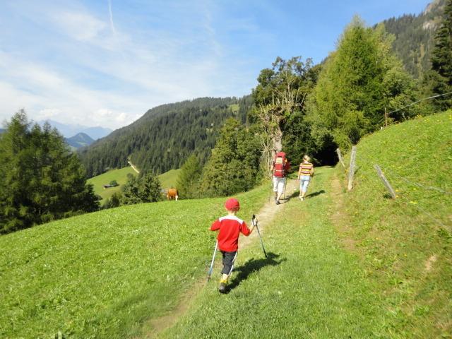 Hanslerfeld Alpbach Rum bild