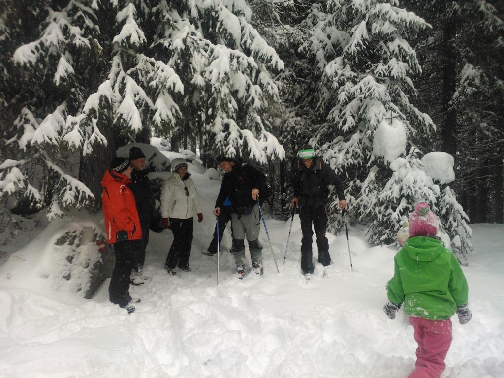 Hanslerfeld Alpbach Exteriör bild