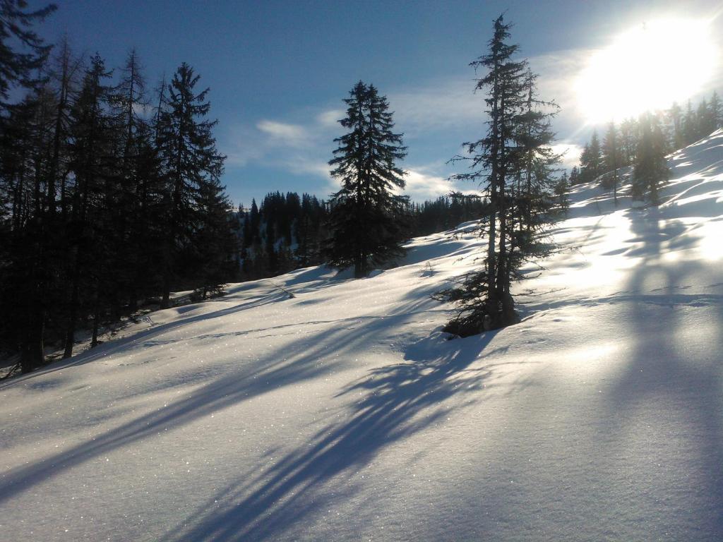 Hanslerfeld Alpbach Exteriör bild