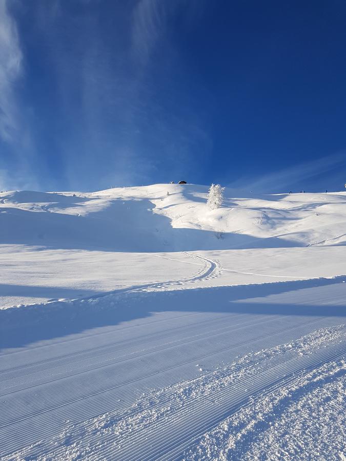 Hanslerfeld Alpbach Exteriör bild