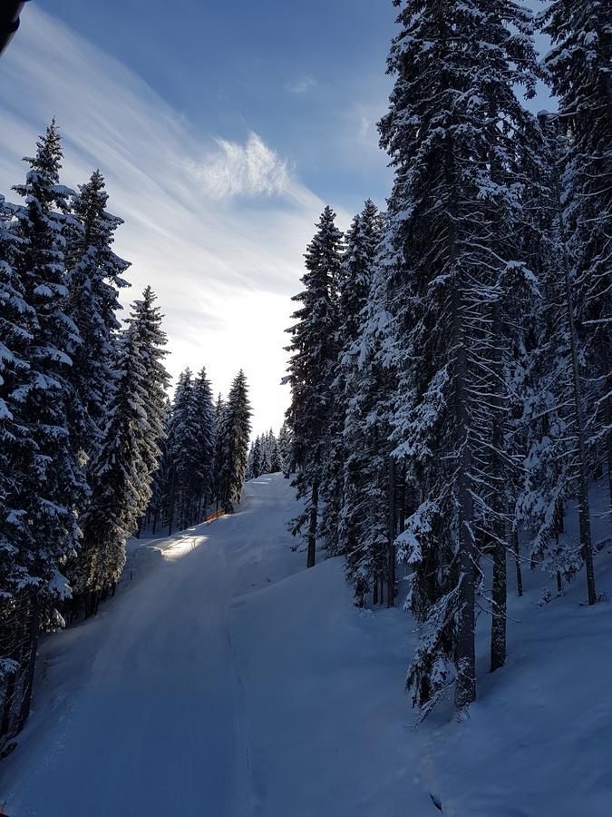 Hanslerfeld Alpbach Exteriör bild