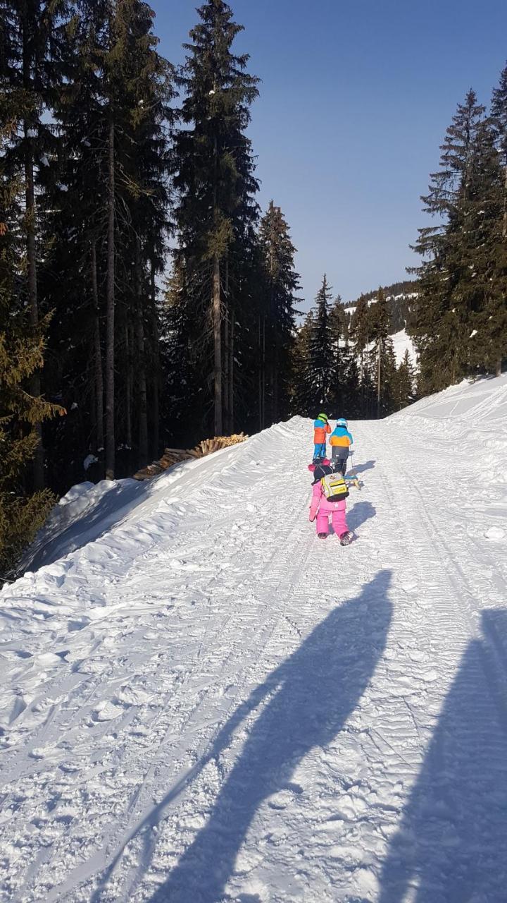 Hanslerfeld Alpbach Exteriör bild