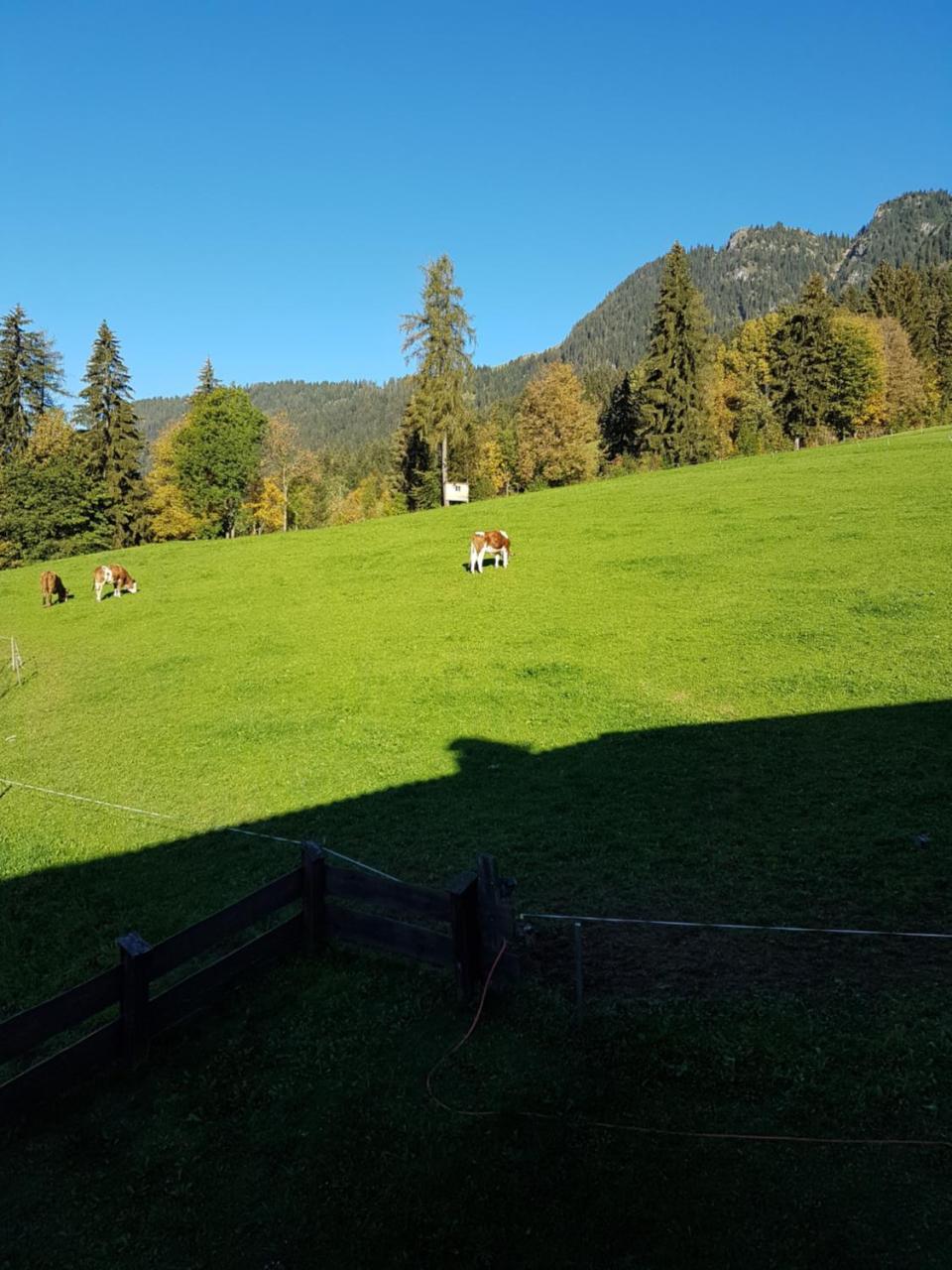 Hanslerfeld Alpbach Exteriör bild